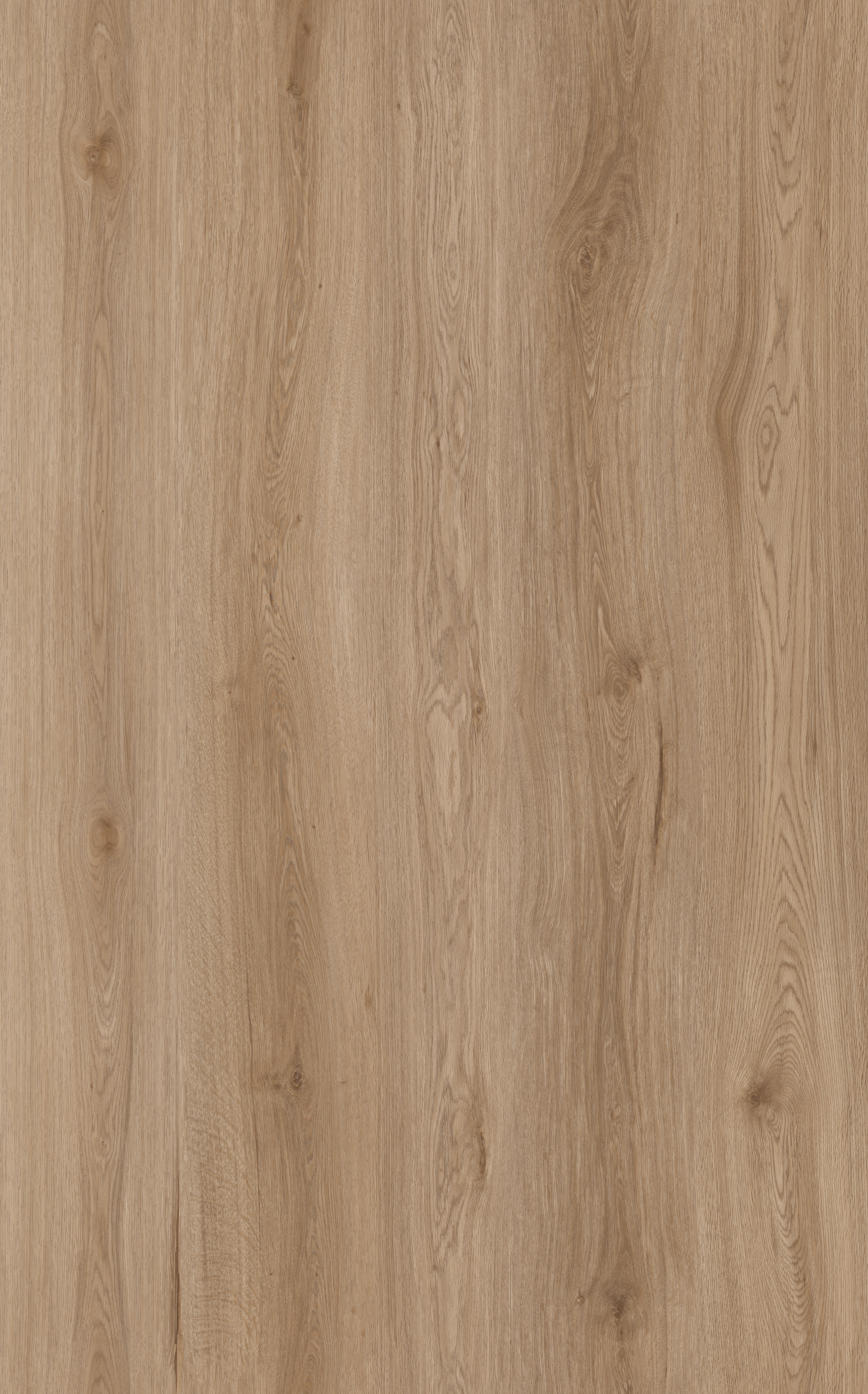 Maple