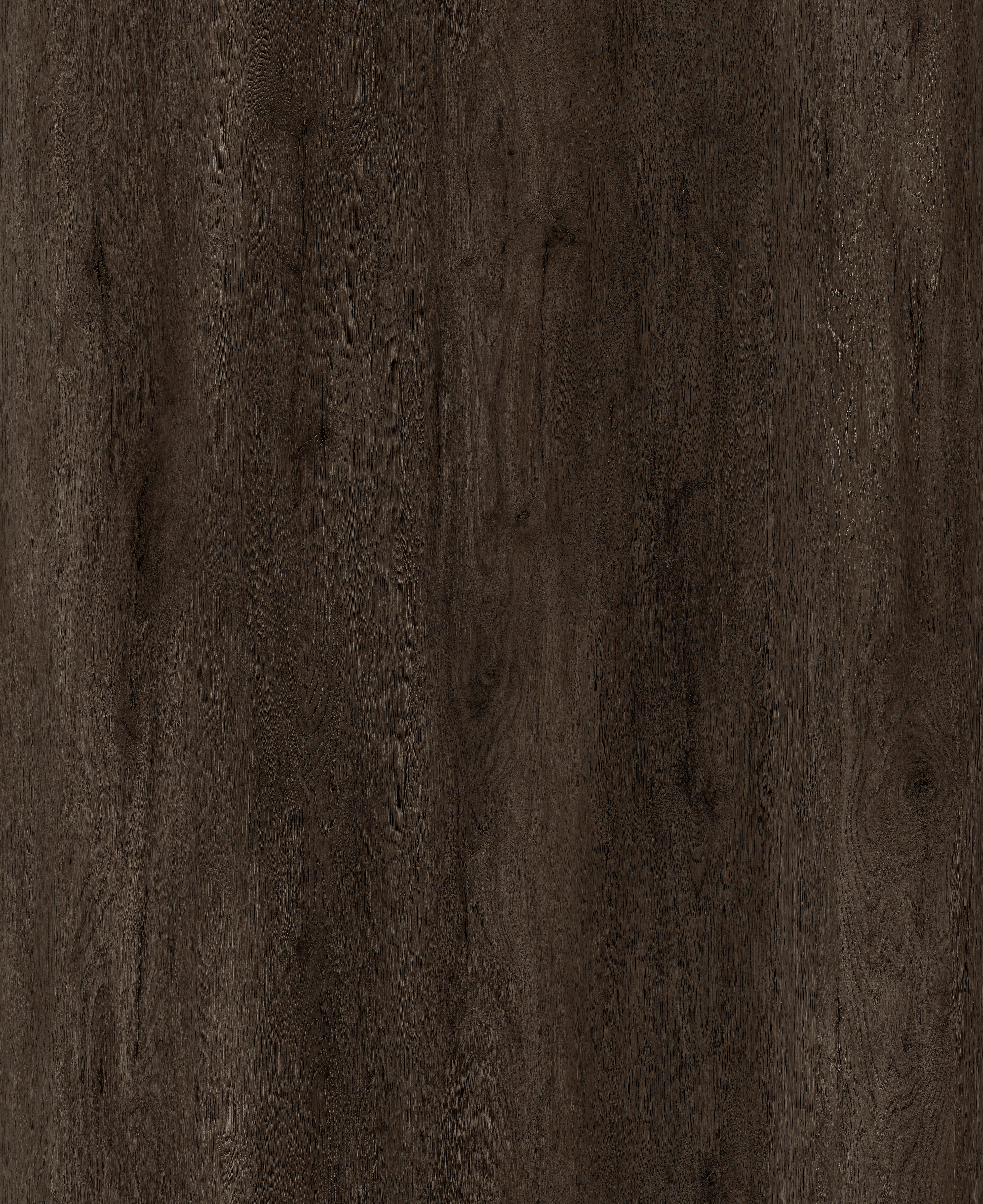 Charcoal Bark